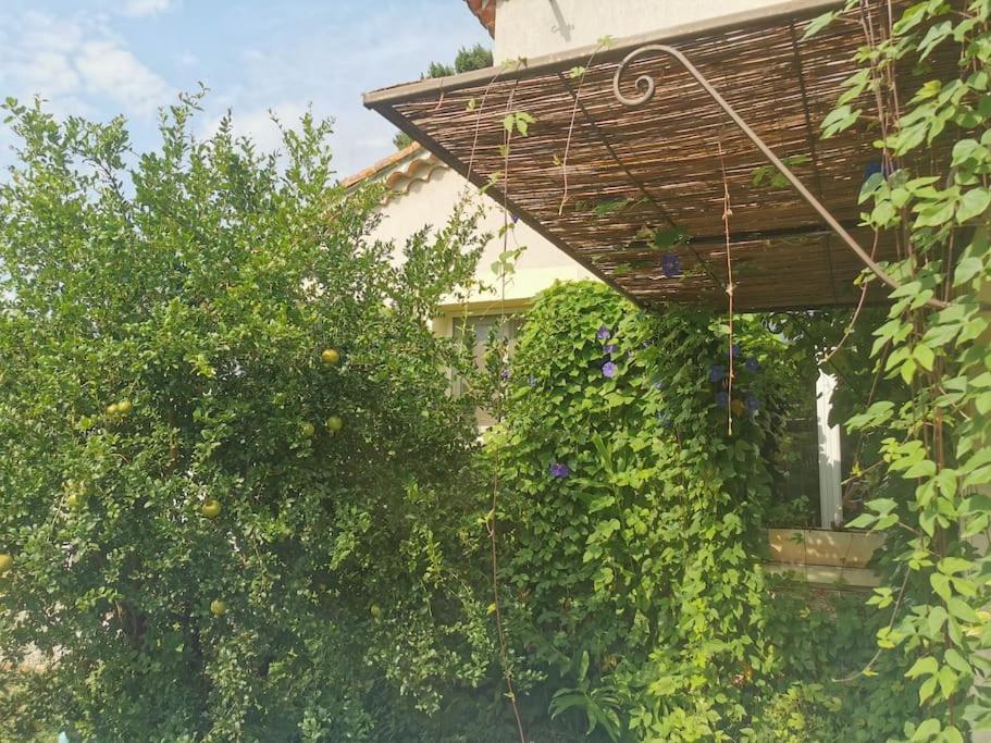 Maison Avec Piscine Dans Village Provencal. Courthézon 外观 照片