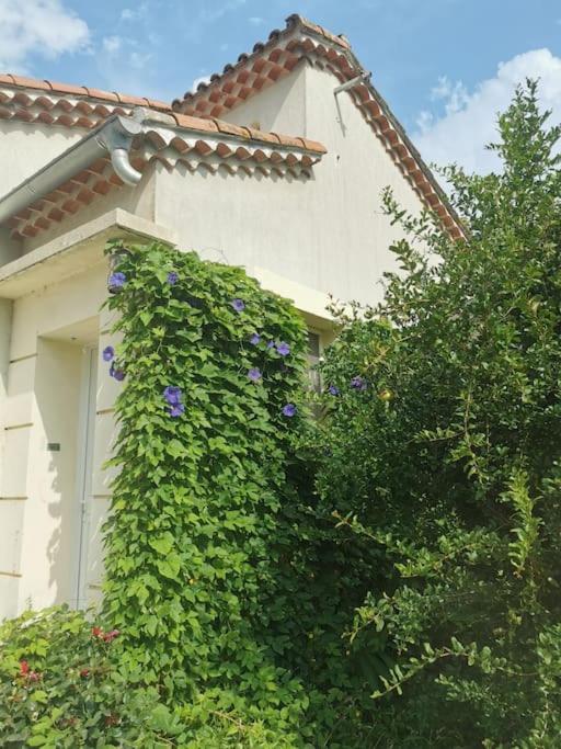 Maison Avec Piscine Dans Village Provencal. Courthézon 外观 照片